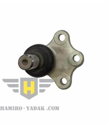 سیبک طبق جلو راست تارا